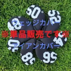 Item thumbnail for item a913884b-35e5-4217-912a-f85865bf8440