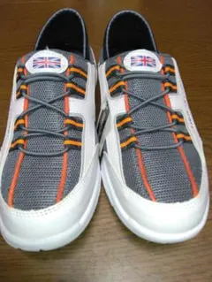 Item thumbnail for item 120d6c71-530e-4eab-81b8-0e5f36de48eb