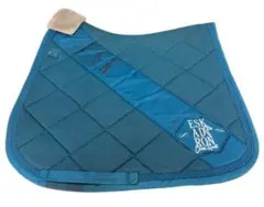 Item thumbnail for item 0c06188e-2adf-4115-bba3-1d05dd268594