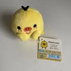 ゆるゆるぽかぽか　サンエックス　ネットショップ　限定　受注生産 キイロイトリ ゆるゆるぽかぽか サンエックス ネットショップ 限定 受注生産