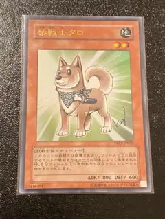 柴戦士タロ　高橋和希氏描き下ろし　サイン入り