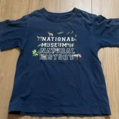 90s アメリカ自然史博物館 tシャツ John Gurche アメリカ製 90s アメリカ自然史博物館 tシャツ John Gurche アメリカ製