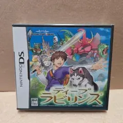 ★新品 DSソフト ディープラビリンス