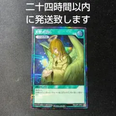 Item thumbnail for item f05568cd-f3b5-4c5e-b15e-81f5a97e1ea3