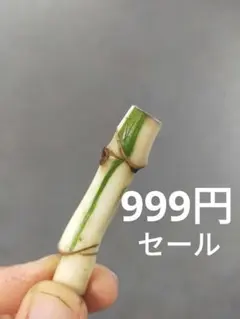 さとう様 リクエスト 3点 まとめ商品