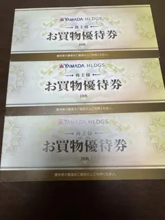ヤマダ電機　株主優待券　15000円分　お買物優待券