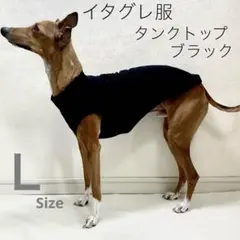 あらた様 リクエスト 2点 まとめ商品