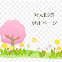 天太郎様 リクエスト 3点 まとめ商品