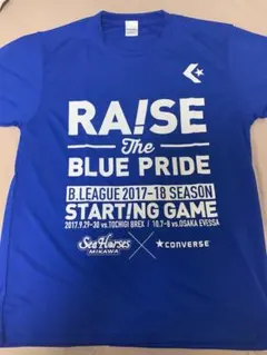 Item thumbnail for item 5846a37e-ddc1-41f6-a59c-6adfa4bf87f3