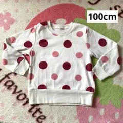 裏起毛 トレーナー 100cm