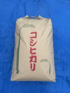 令和7年　栃木県産減農薬栽培コシヒカリ 10kg 令和8年 栃木県産減農薬栽培コシヒカリ 10キロ - メルカリ