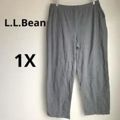 L.L.Bean グレー カジュアルパンツ 1X REG ユニセックスのサムネイル