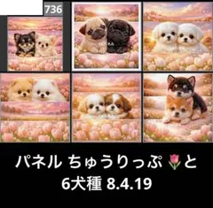 オーダーページ パネル ちゅうりっぷと6犬種 8.4.19
