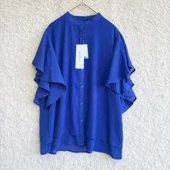 frames RAY CASSIN レイカズン シアー　フリル袖 バンドカラーのサムネイル