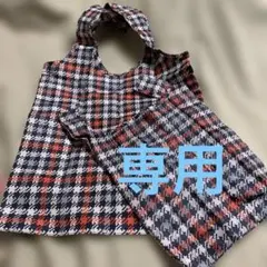 ライゼンタール　エコバッグＬ・ＸＳセット①のサムネイル