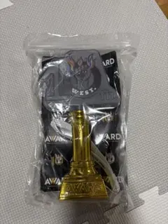 10th Anniversary Award ゴールドトロフィーwest.