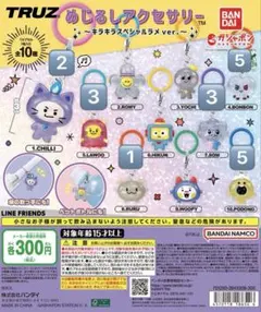 TRUZ めじるしアクセサリー