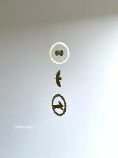 circles and ...