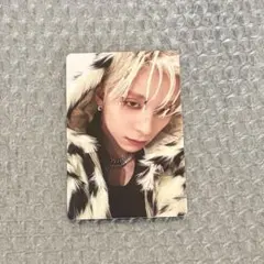 西洸人 matchup トレカ