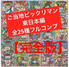 1⭐️空袋全2種完全版【東日本編 全25種コンプ】ご当地ビックリマン ご当地ロココ