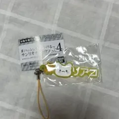 サンリオキャラクターズ　ハッシュタグつける　はなまるおばけ