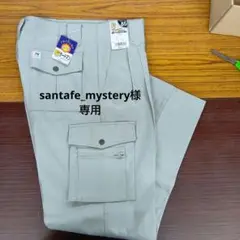 #6720 W85-股下70