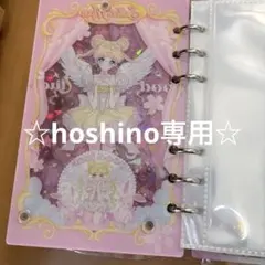 セーラームーン❤︎ シール帳 シャカシャカ アクリルバインダー A6 ホログラム