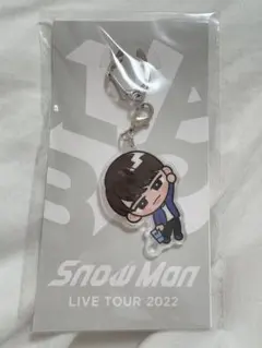 SnowMan 渡辺翔太 すのチル アクリルキーホルダー 【新品未開封品】