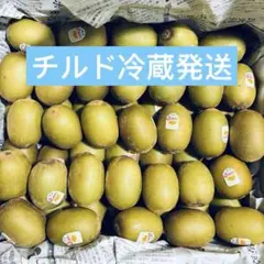 サンゴールドキウイ59玉入り／1ケース