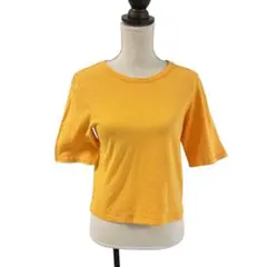 Item thumbnail for item 5e49b946-7d8d-47eb-bb2c-bc62d5063253