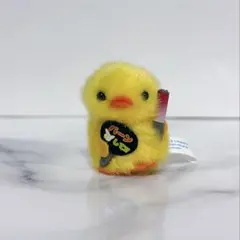 2025年最新】ぴよりーなの人気アイテム - メルカリ