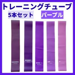 トレーニングチューブ ゴムバンド エクサイズ 強度別付 5本 紫 ダイエット
