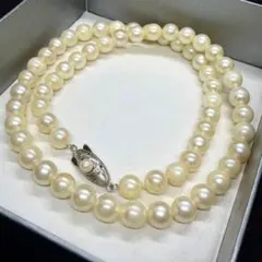 あこや本真珠 パール ネックレス 7.1-7.4mm 42cm SILVER刻印 あこや本真珠 パール ネックレス 7.1-7.4mm 42cm SILVER刻印 - メルカリ