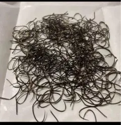 Item thumbnail for item 1d759f2e-4cd1-4e33-90cb-e7bbfdb3c231