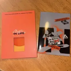 straykids スキズ IN生 付属品付き