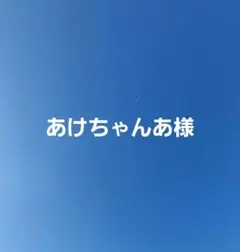 あけちゃんあ様専用