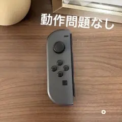 NintendoSwitch ジョイコン グレ L