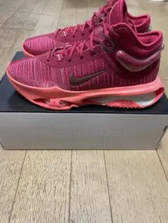 NIKE LEBRON XX EP “PINK DIAND” 28cm - メルカリ