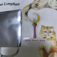 Item thumbnail for item 9708d13d-6a5d-4256-ad1d-99d4d90641ce