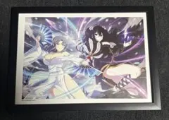切抜 額装 A4サイズ シノビマスター閃乱カグラ NEW LINK 雪不帰 雪泉