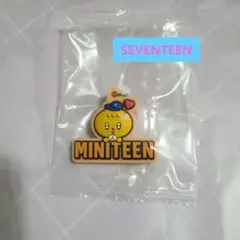SEVENTEEN MINITEEN キャラクターキーホルダー 目印チャーム