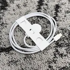 Apple純正 USB-C 充電ケーブル（iPad）