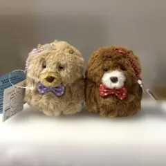 2026年最新】チャウチャウ ぬいぐるみの人気アイテム - メルカリ