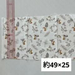 Item thumbnail for item df289a20-1d75-48dc-b7e3-8012113602a4