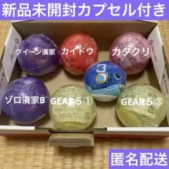 ワンピの実　新品未開封カプセル付きセット②