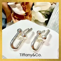 2026年最新】tiffany ハードウェア エクストララージの人気アイテム
