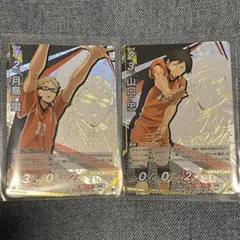 ハイキュー バボカ BREAK　最強の挑戦者　月島蛍 山口忠