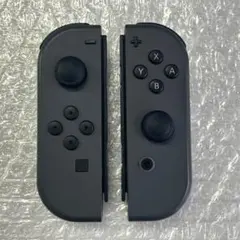 Nintendo Switch Joy-Con 2個セット