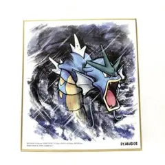 ギャラドス ポケモン 色紙ART