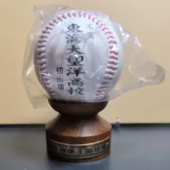 阿部慎之助 ジャイアンツ 公式球 NPB 引退試合 ボール ケース付き